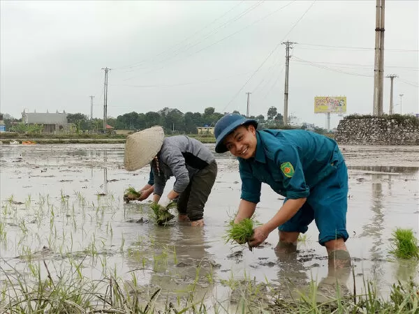 Trai Thanh Hóa đi cấy - Lê Văn Bình