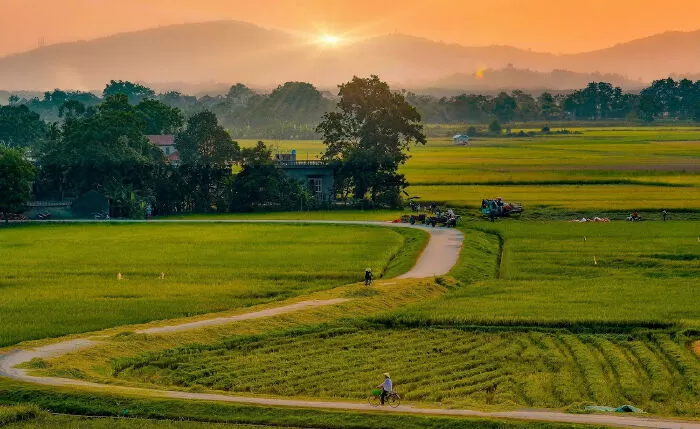 Xứ Thanh - Hữu Hạnh