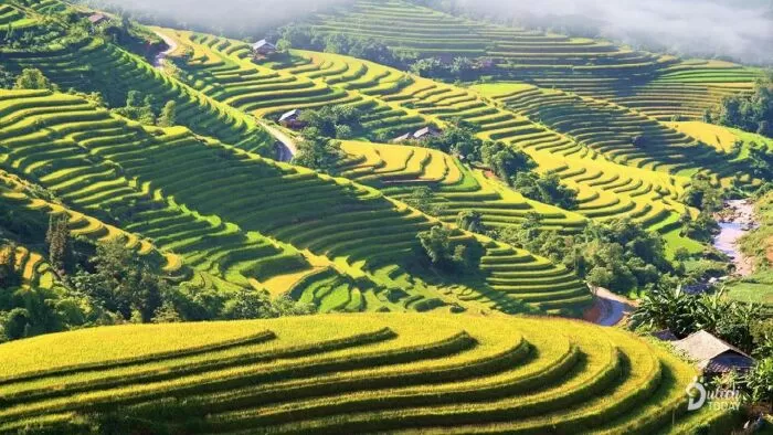 Hà Giang