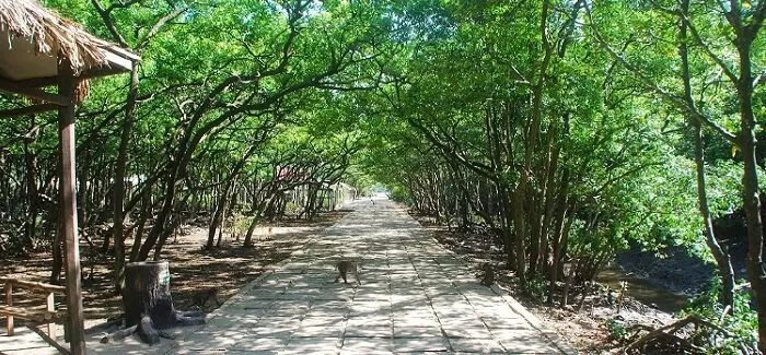 Cần Giờ