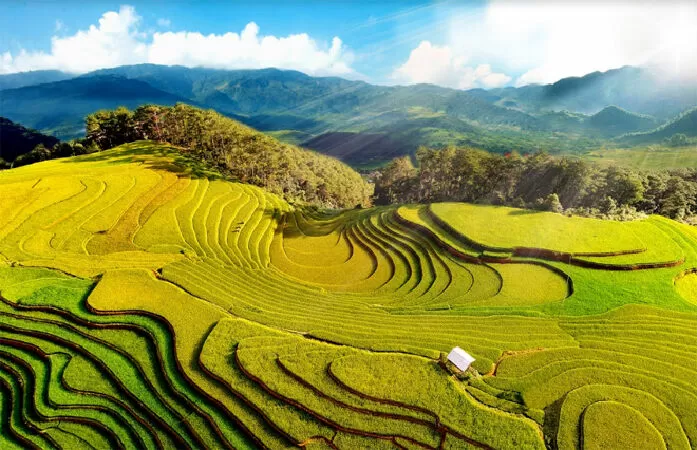 Yên Bái