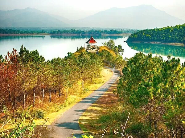 Gia Lai