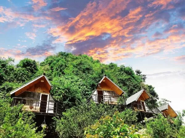 Phố Núi Tình Yêu