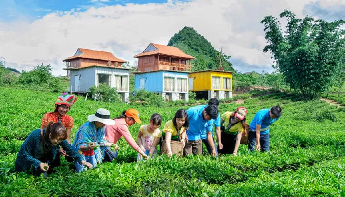 Arena village homestay