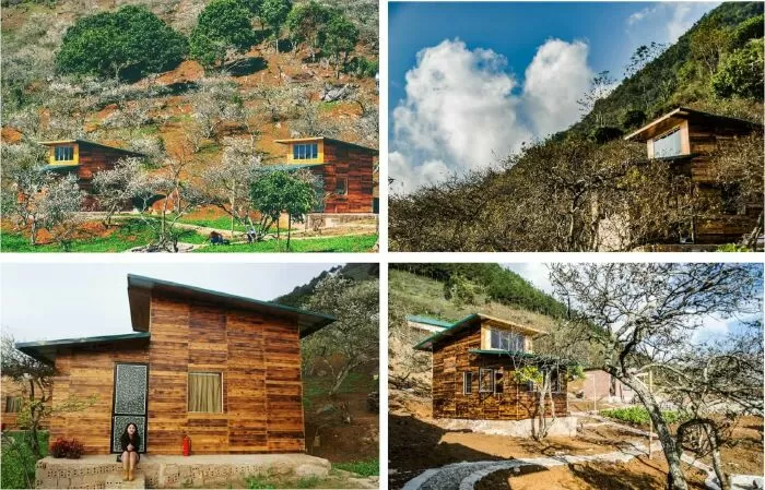 V House Homestay