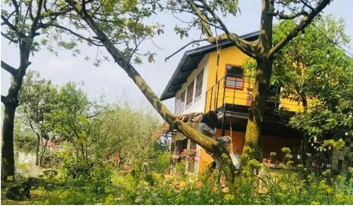 Vườn của Gấu