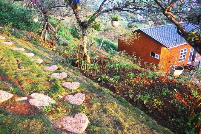 Top Hill Homestay