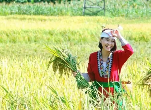 Gái Thanh - Đỗ Văn Hùng