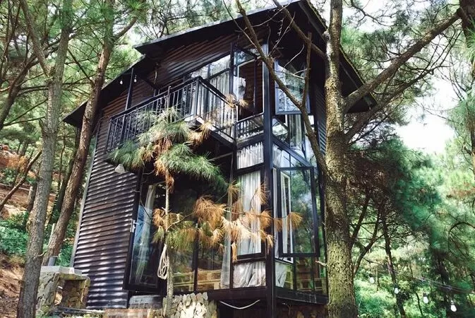 Tree House Homestay
