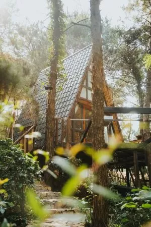 PA Homestay