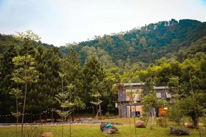 The Forest Garden Homestay