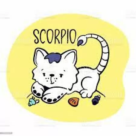 Bọ Cạp