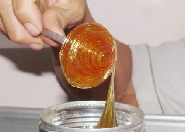 Mạch nha