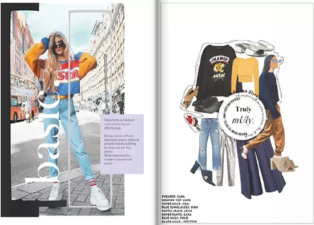 Styleniche