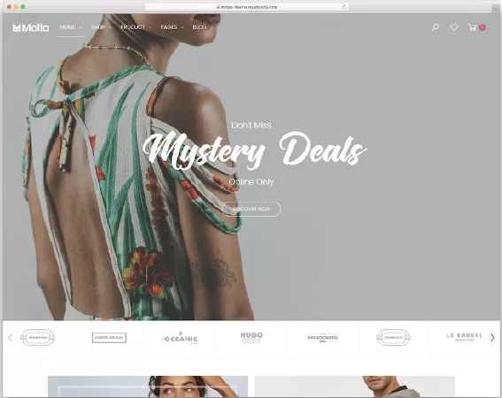 Top 10 phần mềm thiết kế website thời trang đẹp nhất trên Shopify