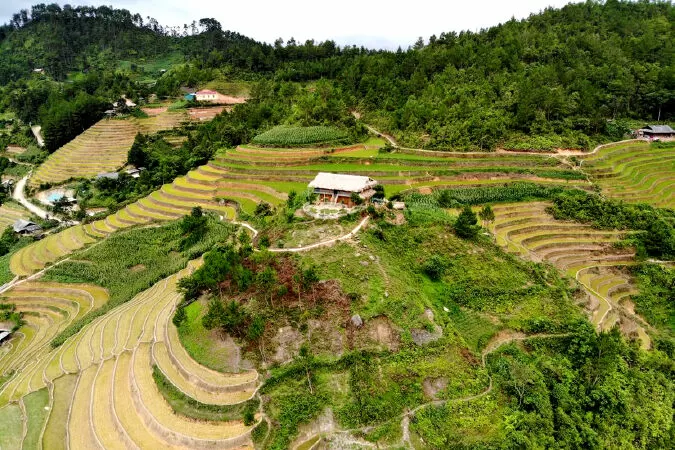 Bamboo Homestay