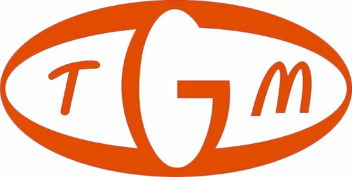 CÔNG TY TNHH THƯƠNG MẠI KỸ THUẬT THẾ GIỚI MẠNG