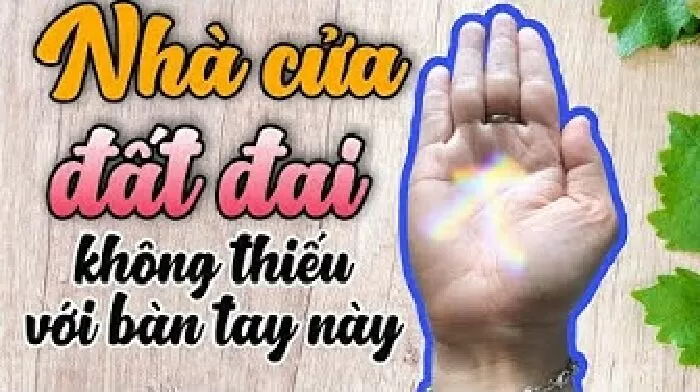 Video xem chỉ tay giàu có chính xác nhất 2