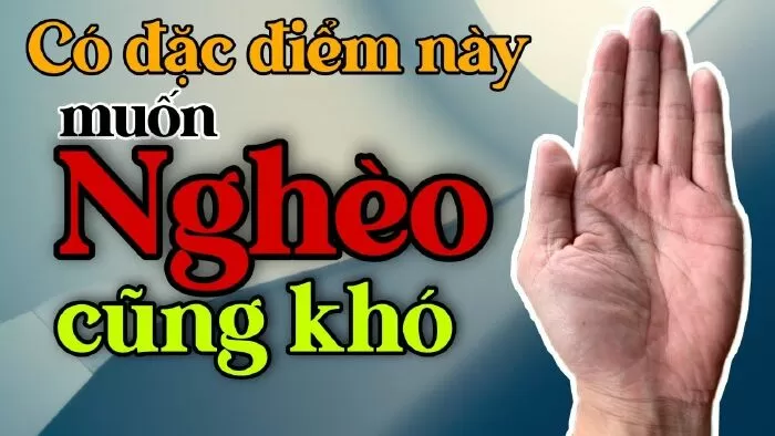 Top 7 video trên YouTube xem chỉ Tay giàu có chính xác nhất