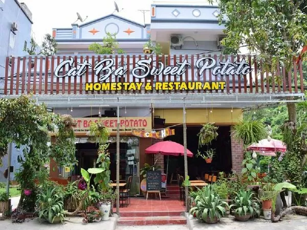 Cat Ba Sweet Potato Homestay