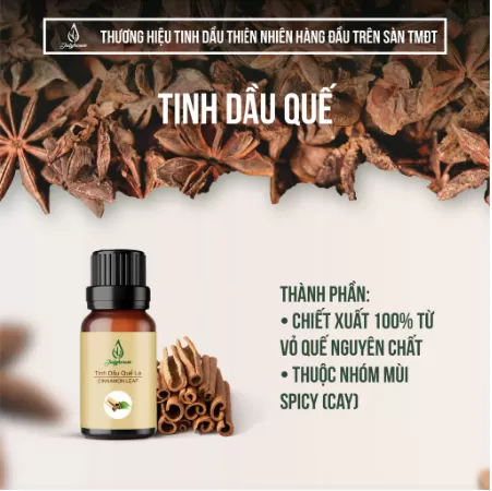 Tinh dầu quế 10ml JULYHOUSE