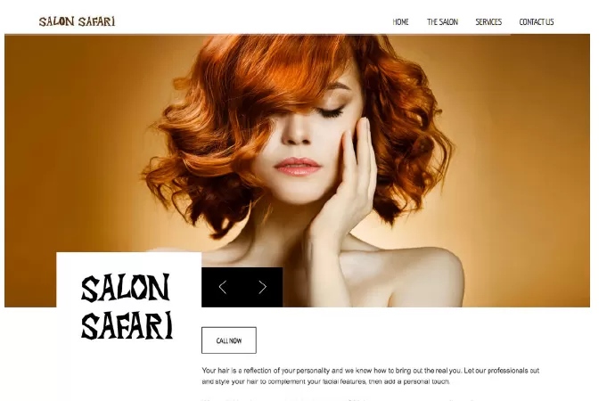 Salon Safari