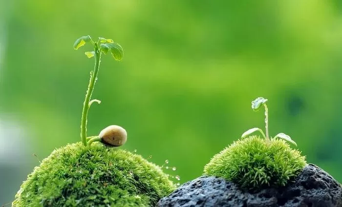 Câu nói hay thứ 3 về sự tử tế