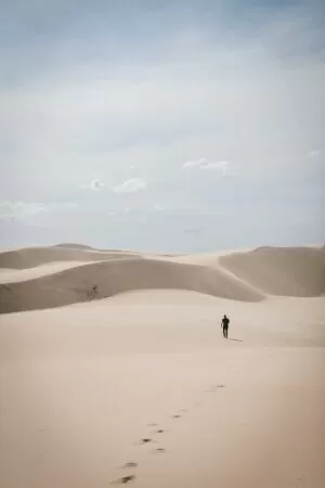 Trích dẫn về sự cô đơn 4