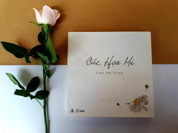 Cúc họa mi