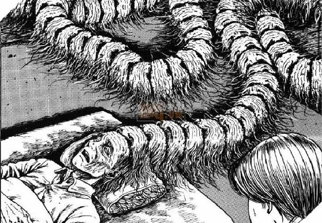 Ito Junji Collection - Những Câu Chuyện Kinh Dị Của Ito