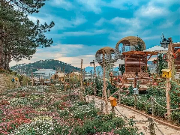 Tiệm cà phê Tổ Chim