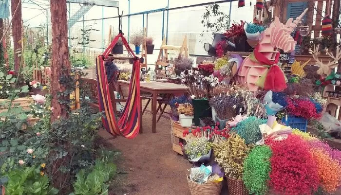 Cafe Triệu đóa hồng