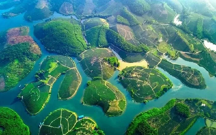 Về cùng anh - Hồ Thanh Thuận