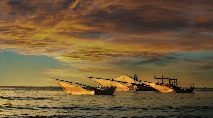 Xa xứ Nghệ - Đại Nguyện