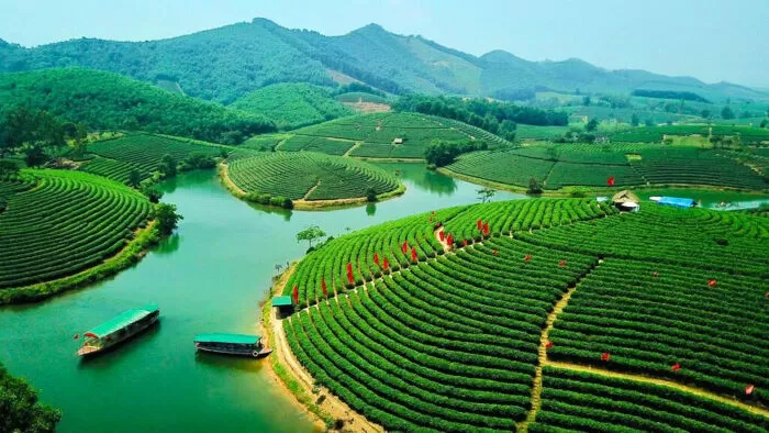 Chứa chan đất Nghệ An - Đạt Trần
