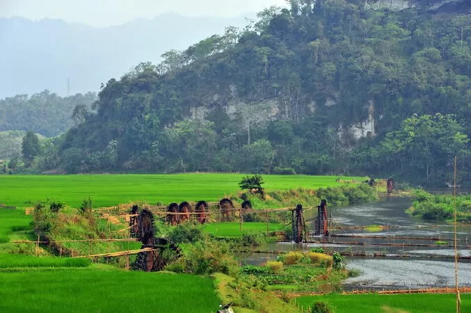 Quê hương - Nguyệt Hoàng