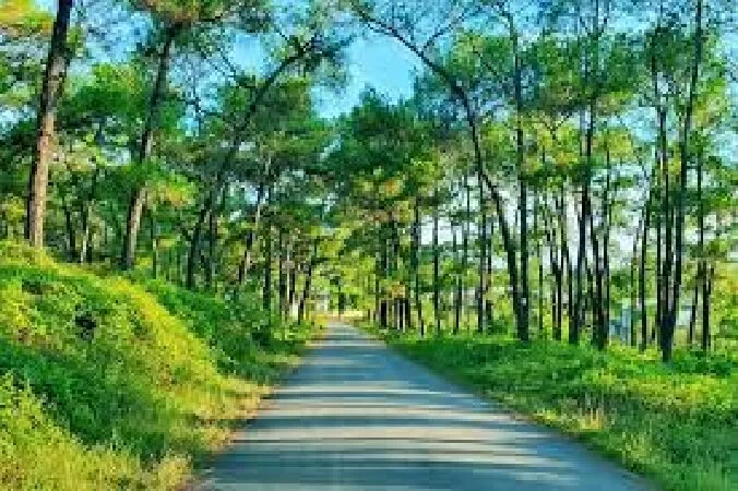 Đồi Thiên An