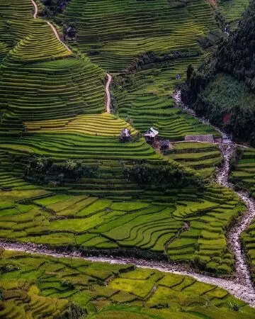 Quê hương - trích Nghẹn ngào (Tế Hanh)
