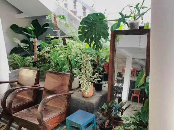 Cà phê Thuỵ