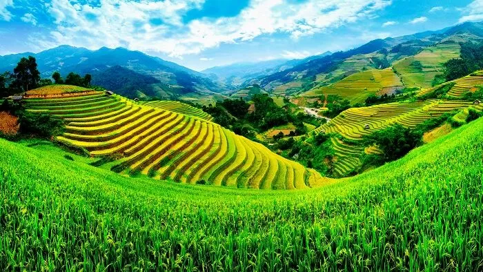 Việt Nam quê hương ta - trích trường ca Bài Thơ Hắc Hải (Nguyễn Đình Thi)