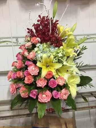 Shop hoa tươi Ly Ly