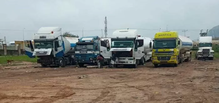 SVL Logistic