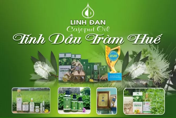 Tinh dầu tràm Linh Đan