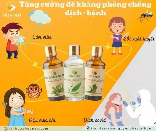 Tinh dầu tràm Hoa Nén