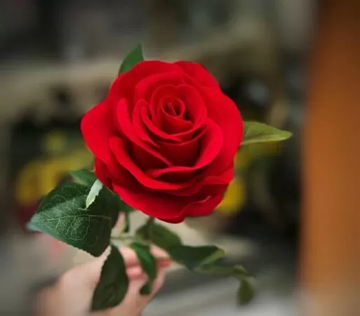 Nghề giáo - Sưu tầm