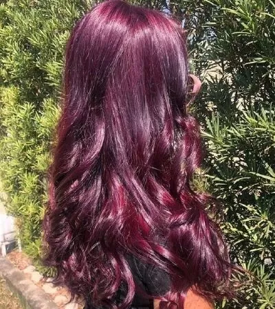 Phúc bồn tử - Raspberry