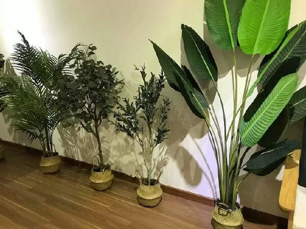 FLOWERSTORE.VN