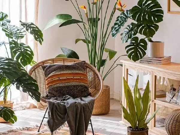 Tiny Garden