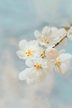 Trích dẫn kỷ luật 17
