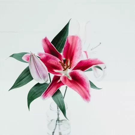 Trích dẫn kỷ luật 18
